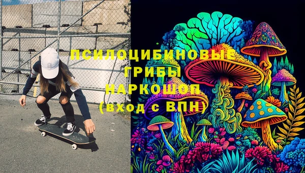 дурь Заводоуковск